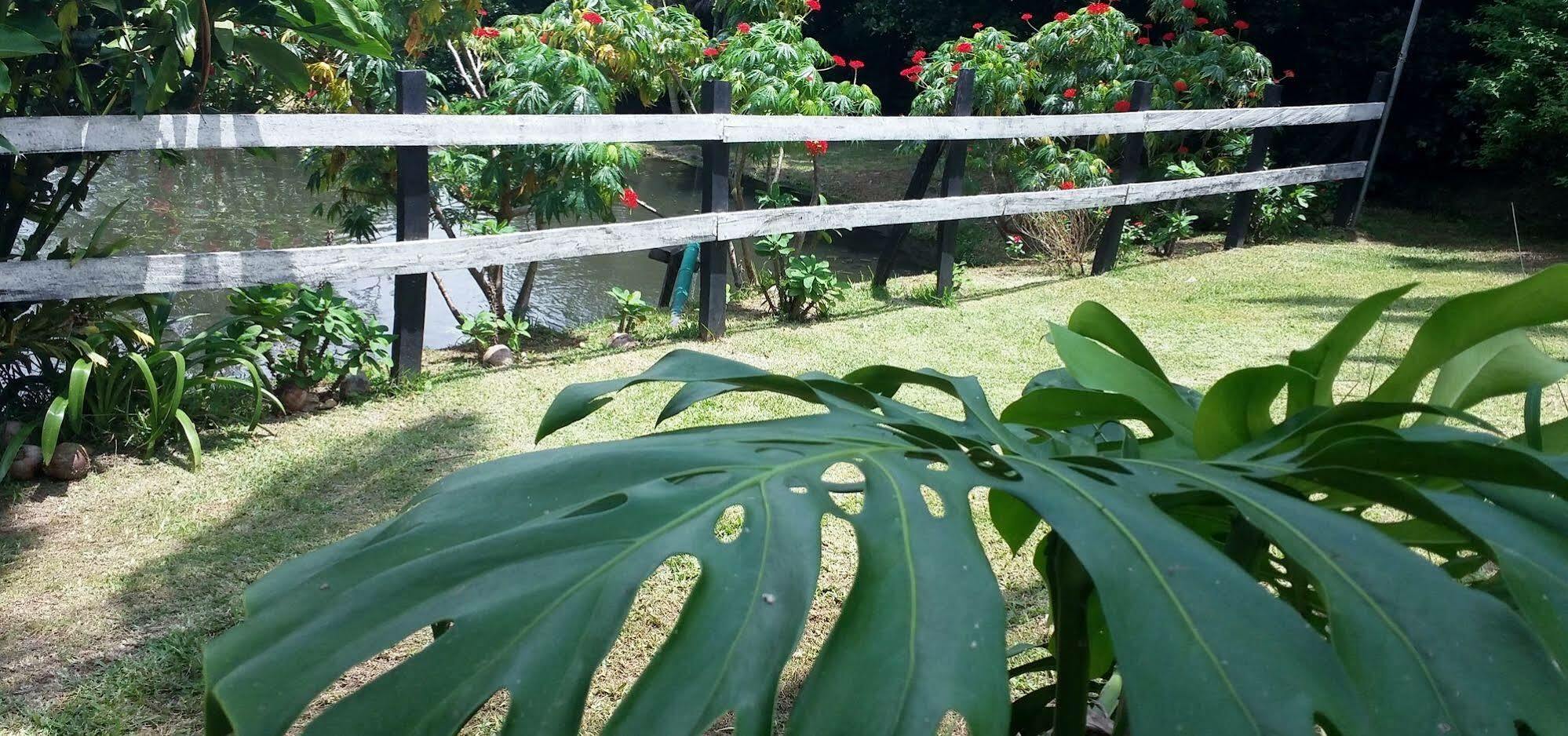Rancho De Lelo Ecolodge Monteverde Eksteriør billede