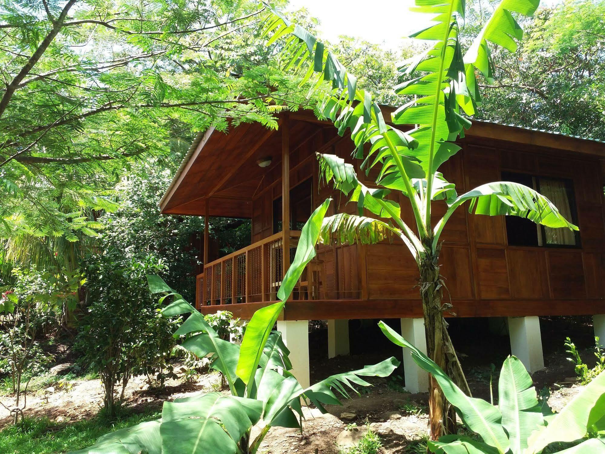 Rancho De Lelo Ecolodge Monteverde Eksteriør billede
