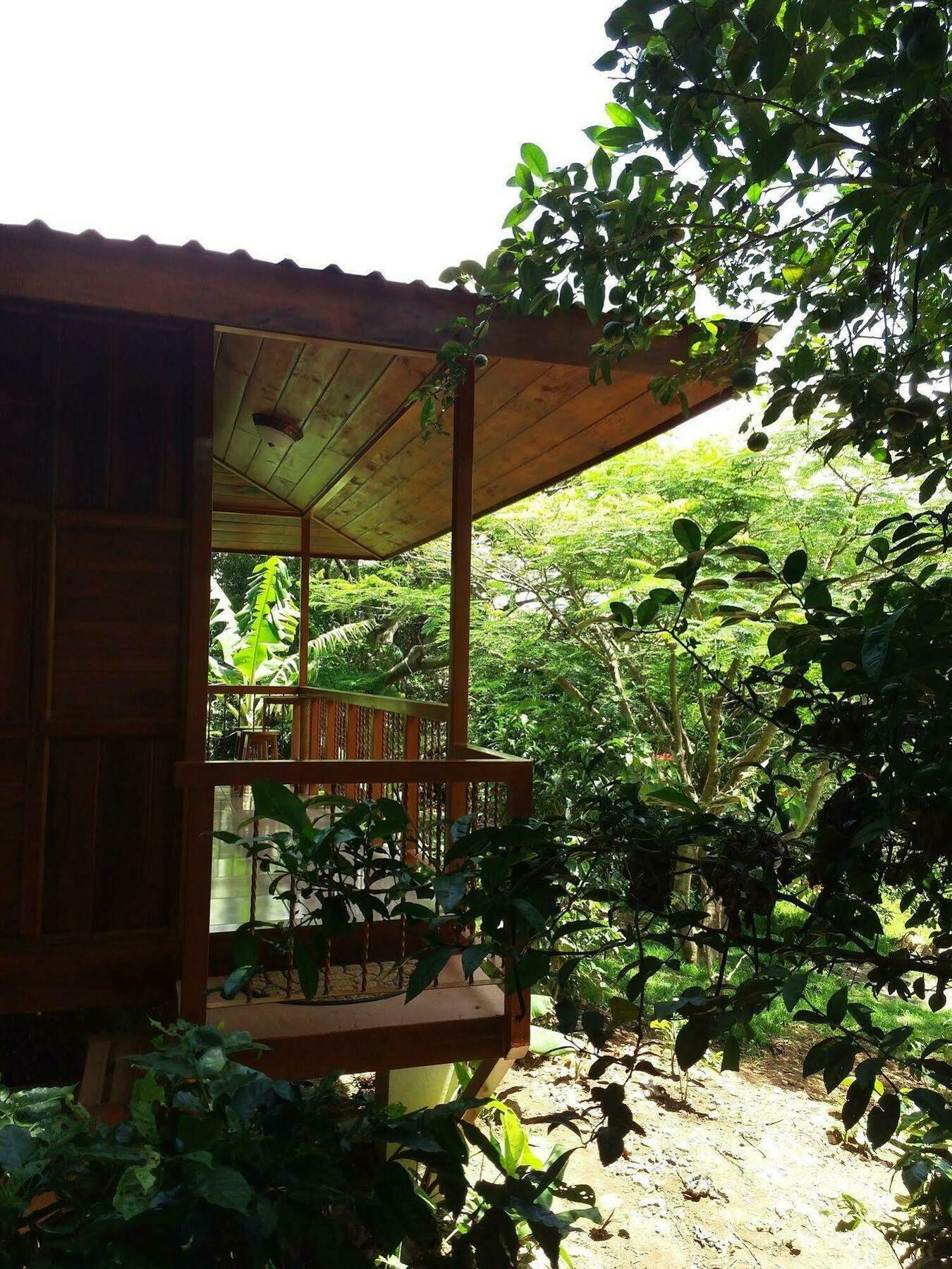 Rancho De Lelo Ecolodge Monteverde Eksteriør billede