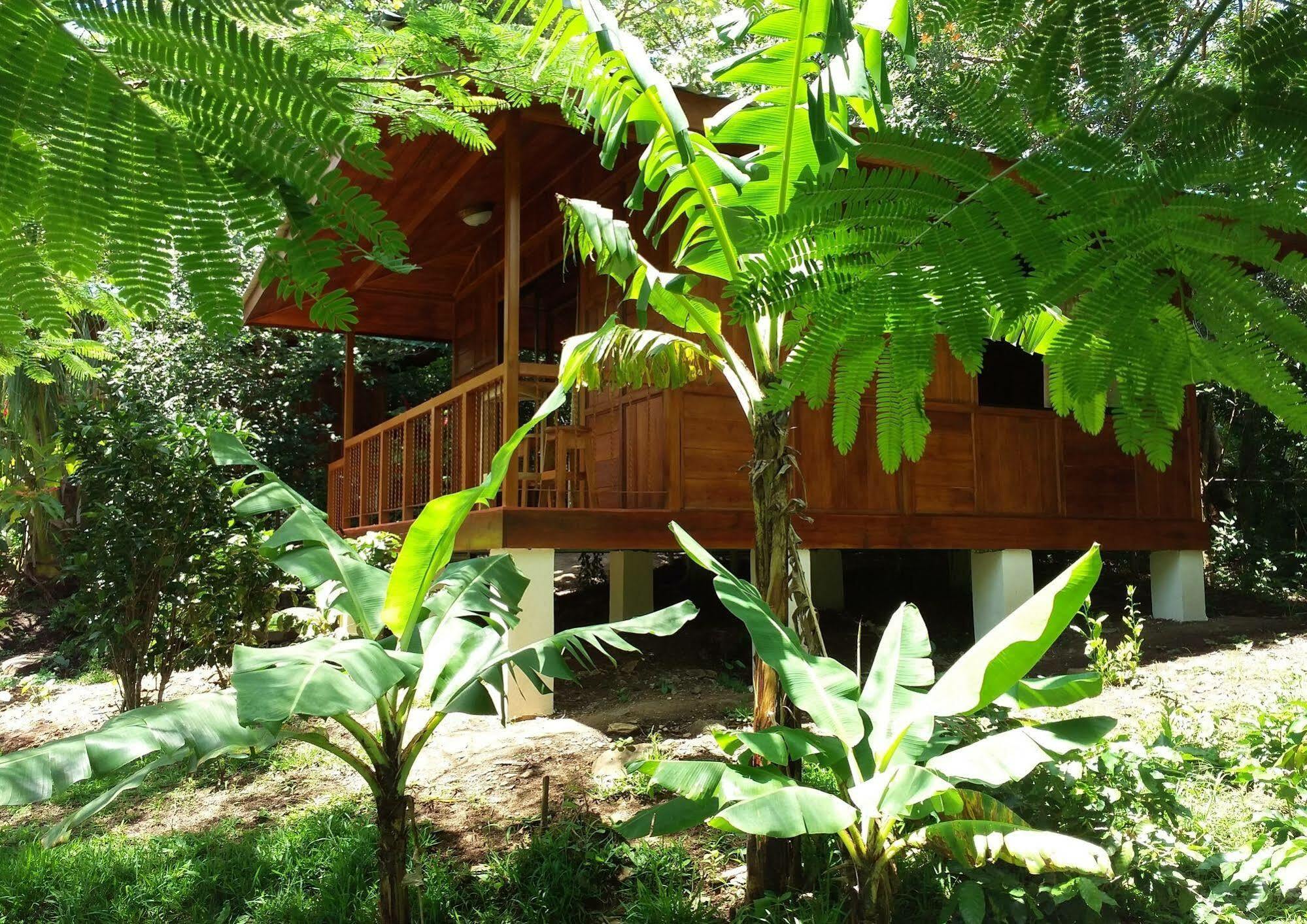 Rancho De Lelo Ecolodge Monteverde Eksteriør billede